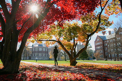 Pictured: Person jogging in silhouette under trees in the Quad during Autumn